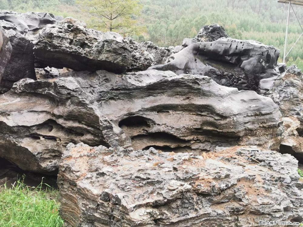 风景石、假山石大量有货，有需要的欢迎联系 - 新手上路 - 合肥生活社区 - 合肥28生活网 hf.28life.net