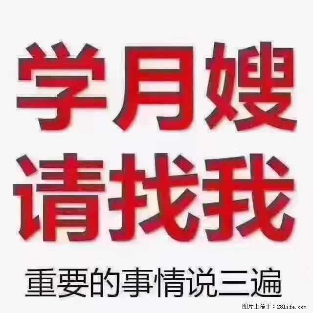 为什么要学习月嫂，育婴师？ - 其他广告 - 广告专区 - 合肥分类信息 - 合肥28生活网 hf.28life.net
