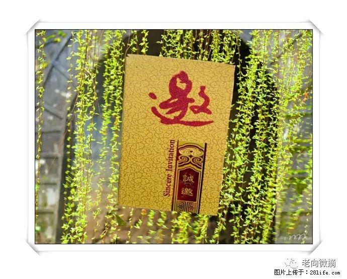【春天，广西桂林灌阳县向您发出邀请！】开篇 - 游山玩水 - 合肥生活社区 - 合肥28生活网 hf.28life.net