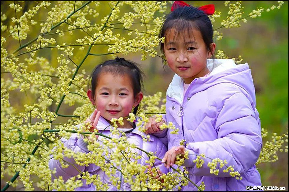 【春天，广西桂林灌阳县向您发出邀请！】米珠山前有片山苍子花在飘香 - 游山玩水 - 合肥生活社区 - 合肥28生活网 hf.28life.net