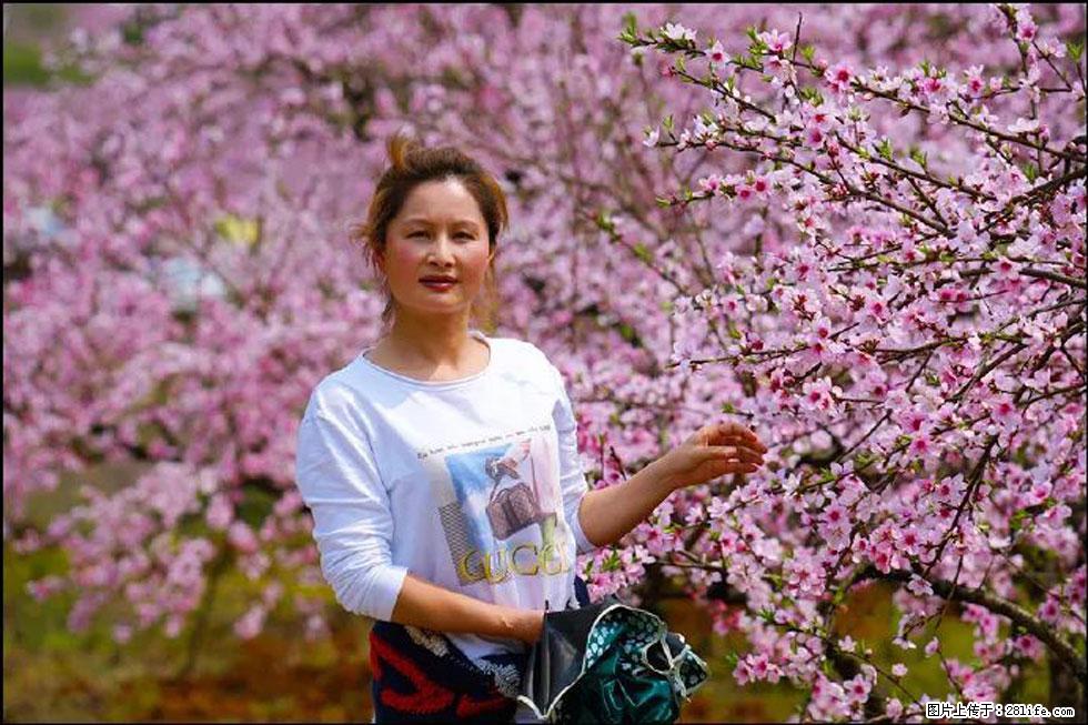 【春天，广西桂林灌阳县向您发出邀请！】官庄村有个醉美的桃花园 - 游山玩水 - 合肥生活社区 - 合肥28生活网 hf.28life.net