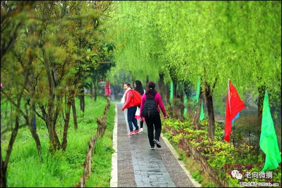 【春天，广西桂林灌阳县向您发出邀请！】江口老街又逢春 - 游山玩水 - 合肥生活社区 - 合肥28生活网 hf.28life.net