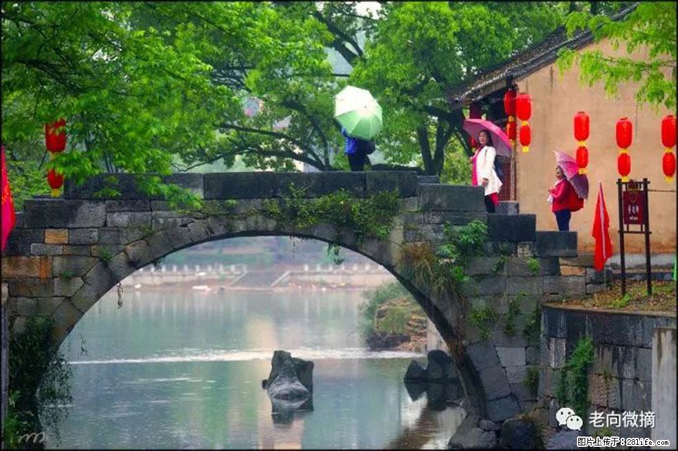 【春天，广西桂林灌阳县向您发出邀请！】江口老街又逢春 - 游山玩水 - 合肥生活社区 - 合肥28生活网 hf.28life.net