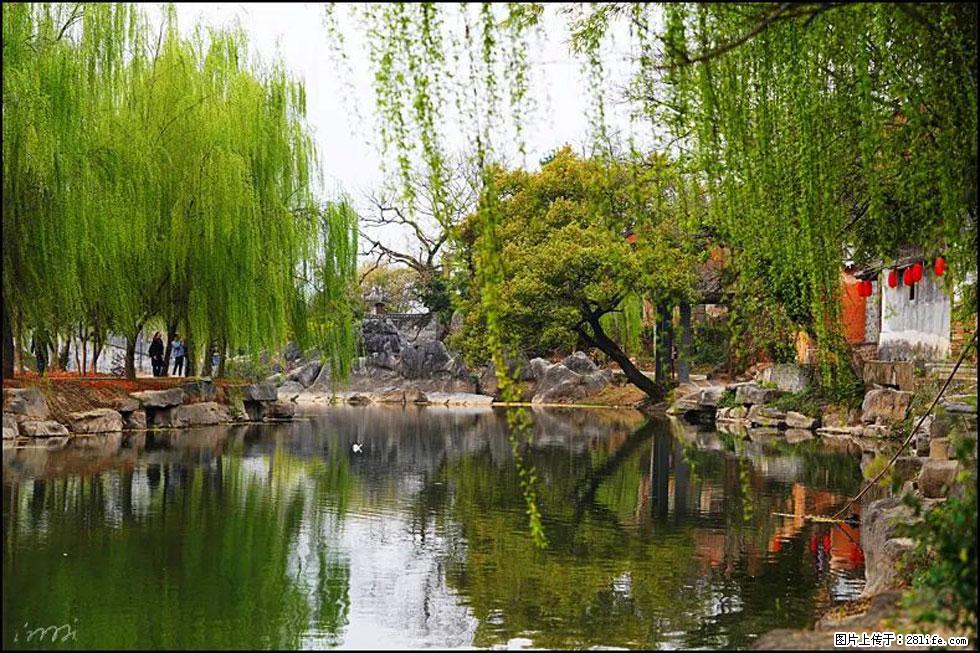 【春天，广西桂林灌阳县向您发出邀请！】江口老街又逢春 - 游山玩水 - 合肥生活社区 - 合肥28生活网 hf.28life.net