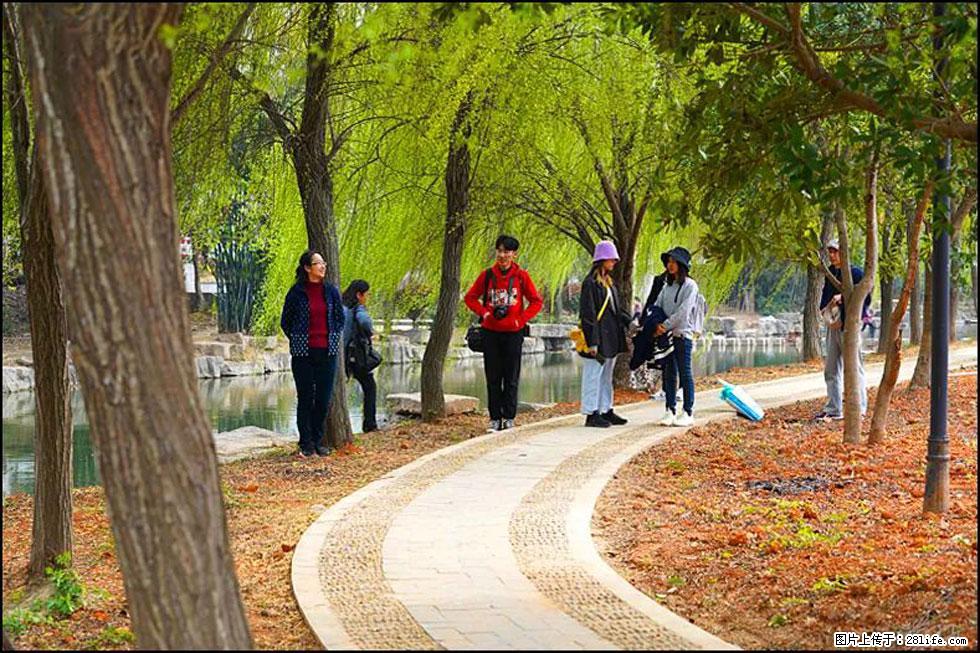 【春天，广西桂林灌阳县向您发出邀请！】江口老街又逢春 - 游山玩水 - 合肥生活社区 - 合肥28生活网 hf.28life.net