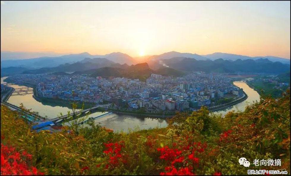 【春天，广西桂林灌阳县向您发出邀请！】登麒麟山，相约映山红 - 游山玩水 - 合肥生活社区 - 合肥28生活网 hf.28life.net