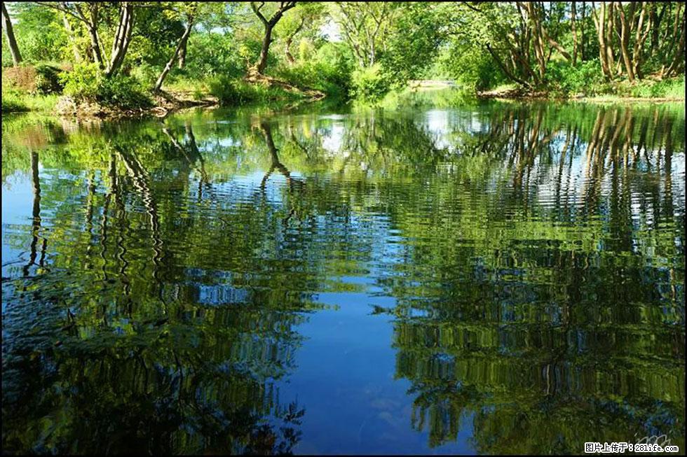 【春天，广西桂林灌阳县向您发出邀请！】熊家寨湿地公园 - 游山玩水 - 合肥生活社区 - 合肥28生活网 hf.28life.net