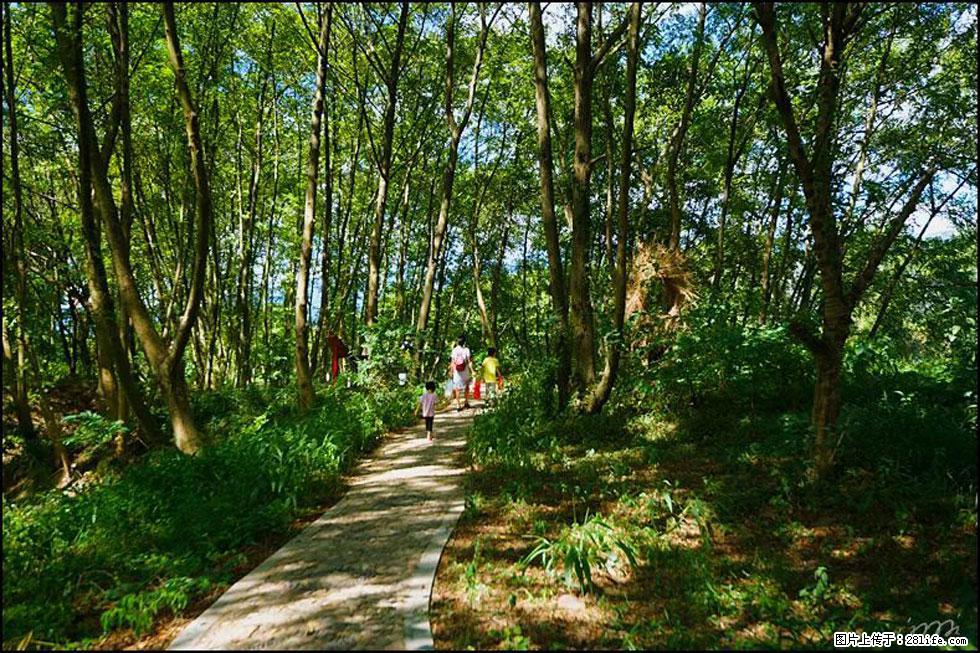 【春天，广西桂林灌阳县向您发出邀请！】熊家寨湿地公园 - 游山玩水 - 合肥生活社区 - 合肥28生活网 hf.28life.net