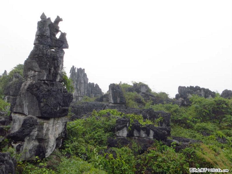 桂林旅游名城景点：灌阳文市石林 - 游山玩水 - 合肥生活社区 - 合肥28生活网 hf.28life.net
