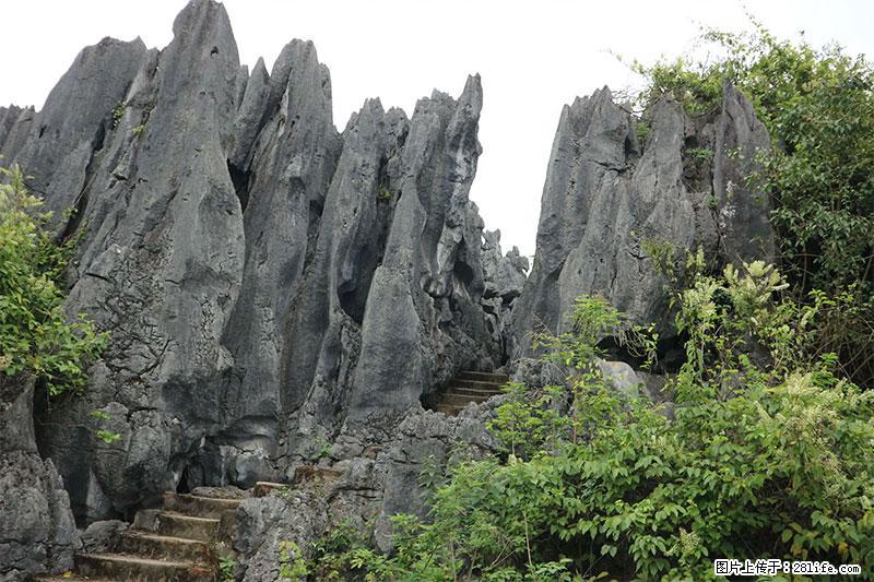 桂林旅游名城景点：灌阳文市石林 - 游山玩水 - 合肥生活社区 - 合肥28生活网 hf.28life.net
