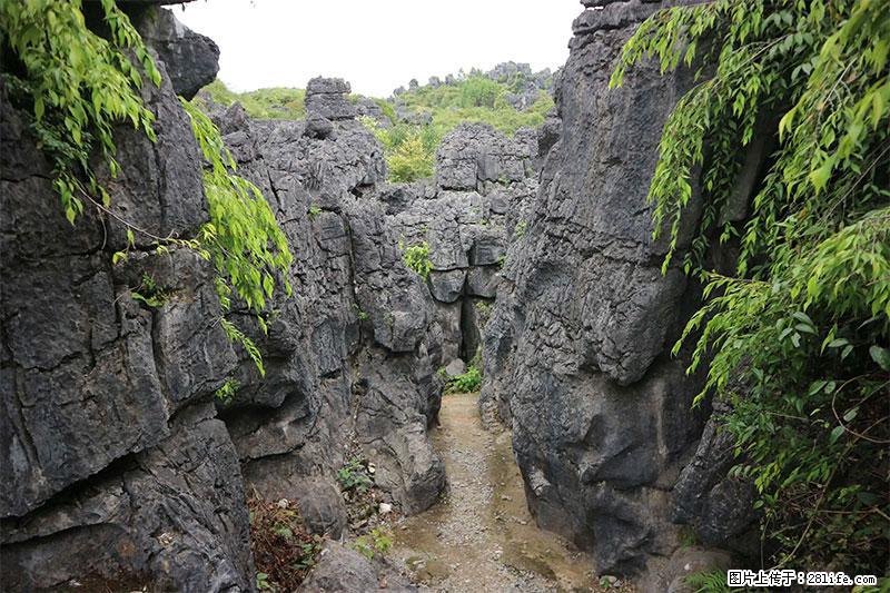 桂林旅游名城景点：灌阳文市石林 - 游山玩水 - 合肥生活社区 - 合肥28生活网 hf.28life.net