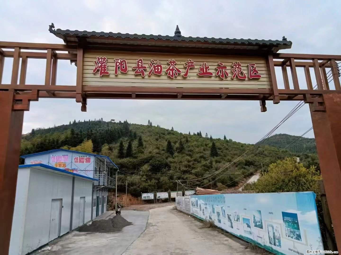 【灌阳县油茶产业示范区】一个有着充实的精神生活的人，对待身外之物自会有一种淡泊的态度 - 土特产 - 饮食特产 - 合肥分类信息 - 合肥28生活网 hf.28life.net