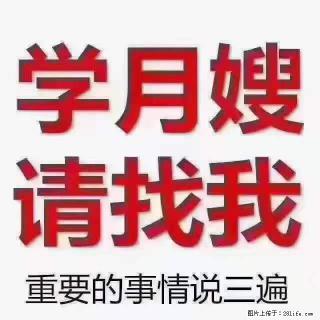 为什么要学习月嫂，育婴师？ - 合肥28生活网 hf.28life.net