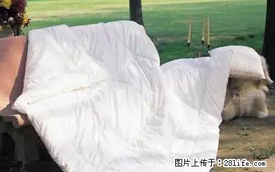 被子有异味？只要这样做，比晒太阳还强100倍！ - 家居生活 - 合肥生活社区 - 合肥28生活网 hf.28life.net