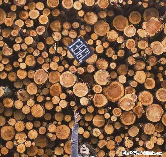 辞掉工作周游世界？现在他们在洗厕所…… - 游山玩水 - 合肥生活社区 - 合肥28生活网 hf.28life.net