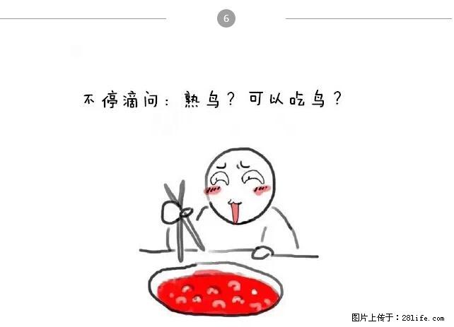 千万不要和这9种哈卵一起吃火锅！ - 美食天地 - 合肥生活社区 - 合肥28生活网 hf.28life.net