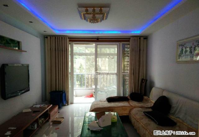 金潜广场 奥体中心旁精装修三居室 家电家具全 看房提前联系 - 房屋出租 - 房屋租售 - 合肥分类信息 - 合肥28生活网 hf.28life.net