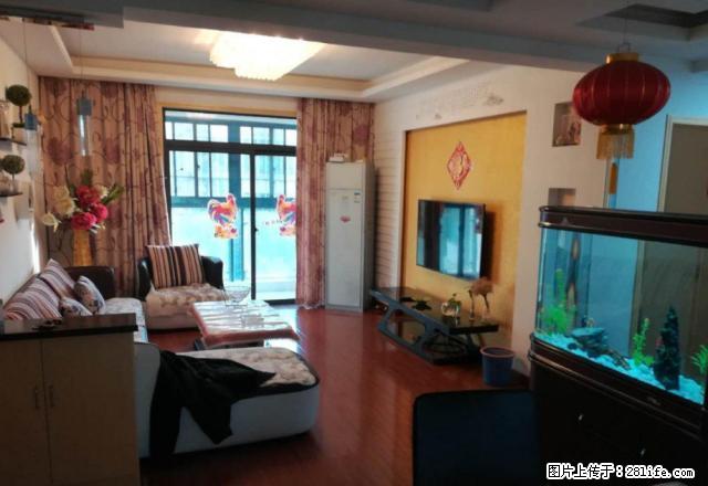 八中 森林海 精装自住两房 随时看房 御龙湾 万象城 采光好 - 房屋出租 - 房屋租售 - 合肥分类信息 - 合肥28生活网 hf.28life.net
