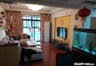 八中 森林海 精装自住两房 随时看房 御龙湾 万象城 采光好 - 合肥28生活网 hf.28life.net