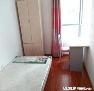 (单间出租)瑶海万达广场对面，春暖花开，单间500元， 不是中介 - 合肥28生活网 hf.28life.net