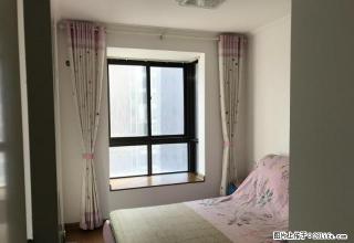 望湖嘉苑 四十八中 望湖小学 新装三室 - 合肥28生活网 hf.28life.net