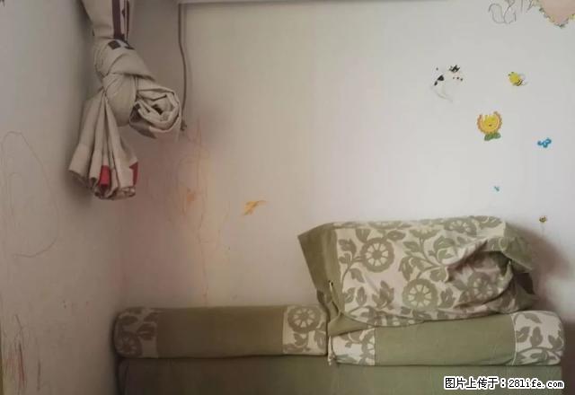 南一环金湾家园精装一室一厅家电齐全拎包即住 - 房屋出租 - 房屋租售 - 合肥分类信息 - 合肥28生活网 hf.28life.net