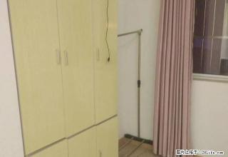 超Di价 仅此一间 适合长租 东海大麦公寓明珠广场安医二附院 - 合肥28生活网 hf.28life.net