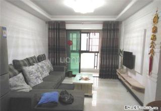 为你而选为你为家 金色梧桐 3室2厅 91平 - 合肥28生活网 hf.28life.net