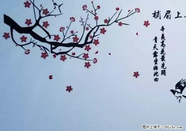 (单间出租)天珑广场华润万象城对面200M超快网速同小区性价比高 - 房屋出租 - 房屋租售 - 合肥分类信息 - 合肥28生活网 hf.28life.net