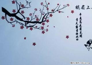 (单间出租)天珑广场华润万象城对面200M超快网速同小区性价比高 - 合肥28生活网 hf.28life.net