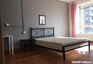 标准一室一厅 国轩K西嘉 动漫园附近 亚夏汽车大厦 可做饭 - 合肥28生活网 hf.28life.net