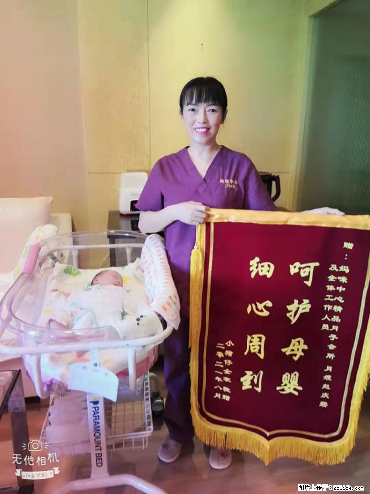 上海高端月子会所招新手月嫂，零基础带教，包吃住 - 职场交流 - 合肥生活社区 - 合肥28生活网 hf.28life.net