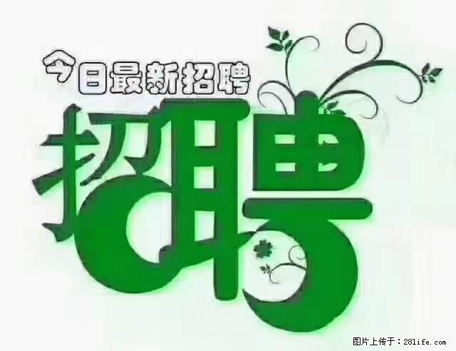 【招聘摄像师】待遇：试用期6000元/月，转正7000元/月+五险一金+餐补+节日福利+奖金 - 职场交流 - 合肥生活社区 - 合肥28生活网 hf.28life.net