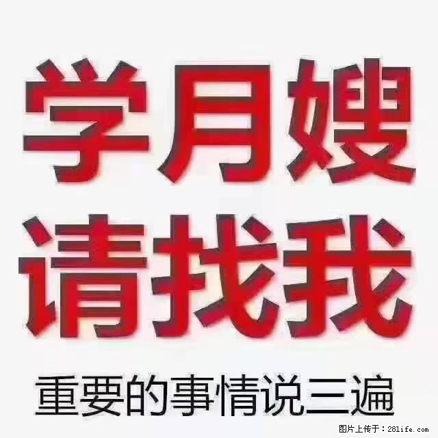 【招聘】月嫂，上海徐汇区 - 职场交流 - 合肥生活社区 - 合肥28生活网 hf.28life.net