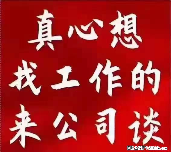 【上海】国企，医院招两名男保安，55岁以下，身高1.7米以上，无犯罪记录不良嗜好 - 职场交流 - 合肥生活社区 - 合肥28生活网 hf.28life.net