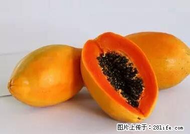 晕车、脚气、牙齿变黄、皮肤粗糙?学会这些三分钟搞定! - 合肥生活资讯 - 合肥28生活网 hf.28life.net