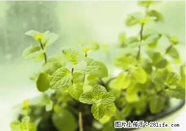 晕车、脚气、牙齿变黄、皮肤粗糙?学会这些三分钟搞定! - 合肥生活资讯 - 合肥28生活网 hf.28life.net