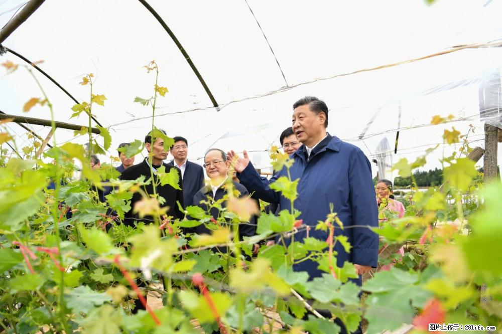 习近平赴广西考察调研 - 合肥生活资讯 - 合肥28生活网 hf.28life.net