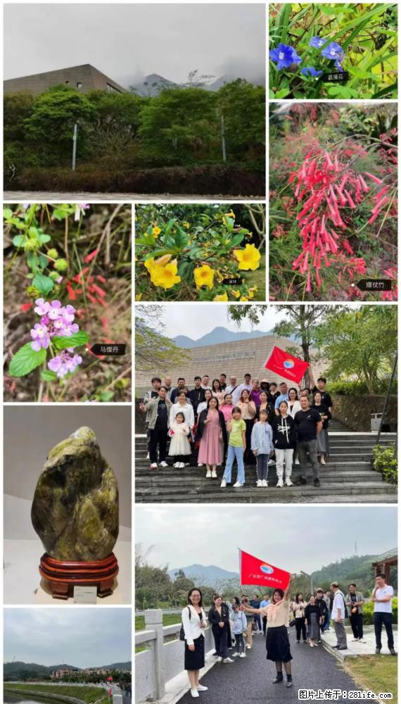 “粤灌文化 美好生活”油茶文化主题活动在广东深圳成功举办 - 合肥生活资讯 - 合肥28生活网 hf.28life.net
