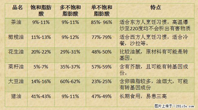 揭秘茶油的5大核心营养成分！被称为人体健康的“守护盾”！ - 合肥生活资讯 - 合肥28生活网 hf.28life.net