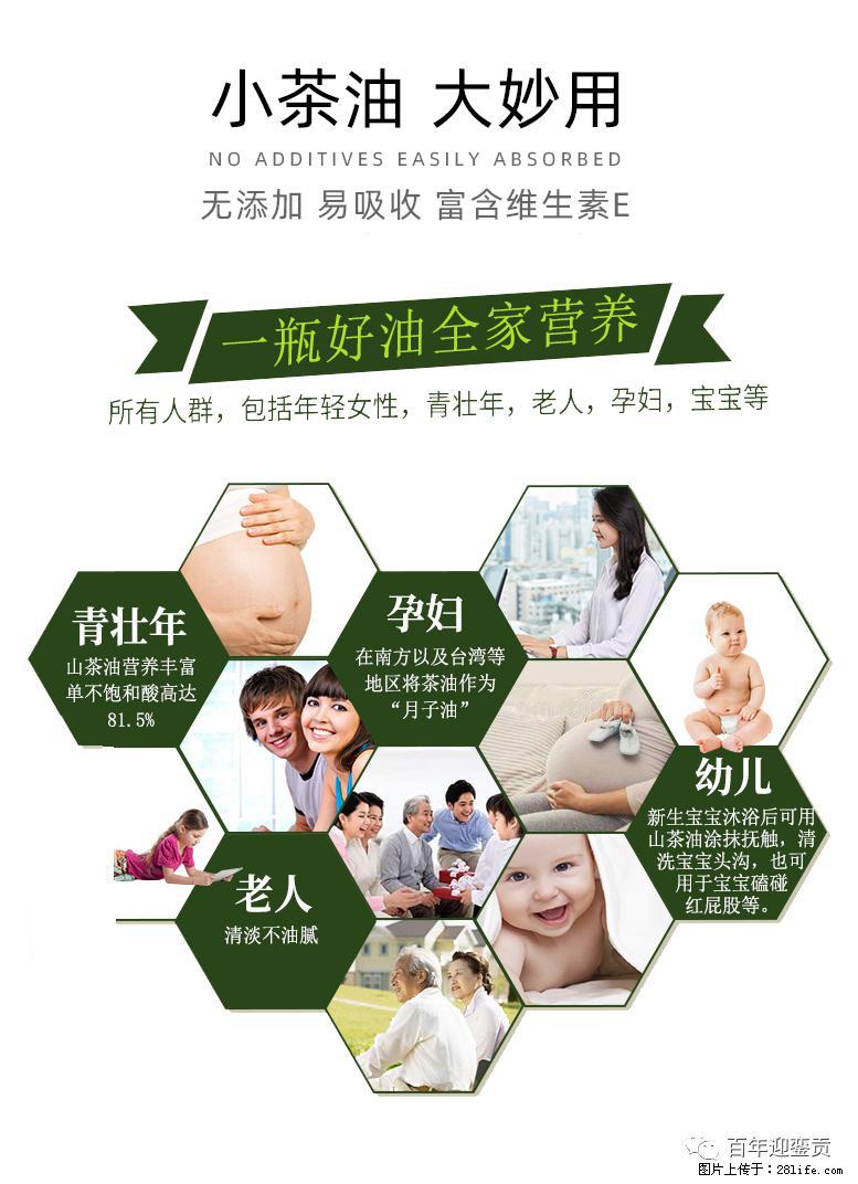 世界没有真相，只有认知，最好的食用油是中国的山茶油！ - 合肥生活资讯 - 合肥28生活网 hf.28life.net