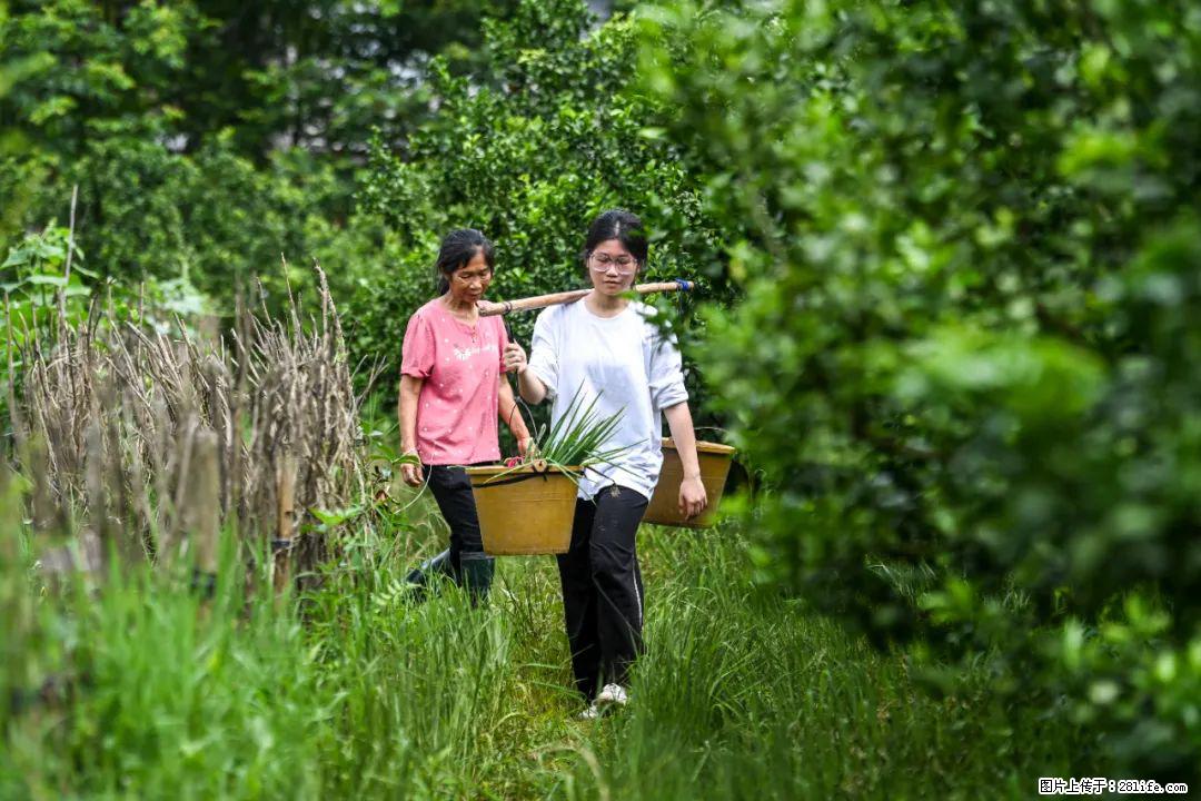 全网追的“扁担女孩”，找了一份暑假工，时薪12元 - 合肥生活资讯 - 合肥28生活网 hf.28life.net