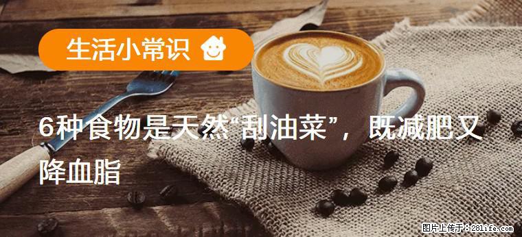 【生活小常识】6种食物是天然“刮油菜”，既减肥又降血脂 - 合肥生活资讯 - 合肥28生活网 hf.28life.net