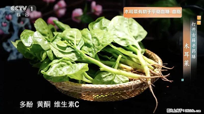 比牛奶补钙还厉害！凉血解毒、稳血糖...这菜冬天必吃，很多人却当草 - 合肥生活资讯 - 合肥28生活网 hf.28life.net