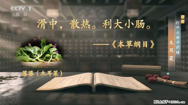 比牛奶补钙还厉害！凉血解毒、稳血糖...这菜冬天必吃，很多人却当草 - 合肥生活资讯 - 合肥28生活网 hf.28life.net