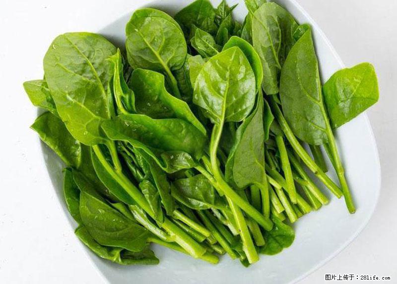 这些蔬菜是“天然钙片”，这6种被医生重点推荐 - 合肥生活资讯 - 合肥28生活网 hf.28life.net