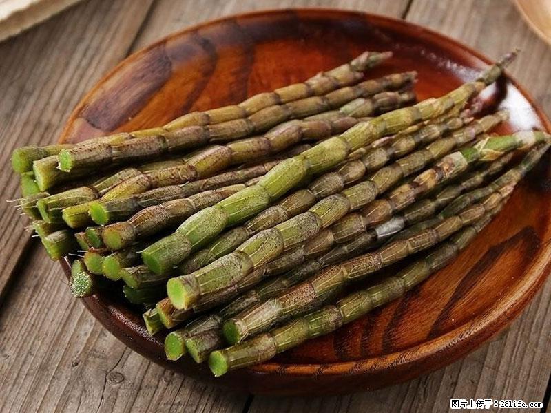 铁皮石斛的作用与功能主治 - 合肥生活资讯 - 合肥28生活网 hf.28life.net