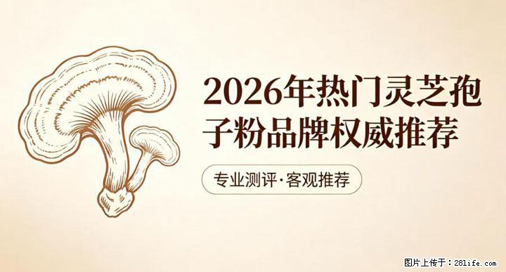 灵芝孢子粉含量越高越有效？2026 年七款热门品牌深度实测，肠胃敏感者避坑指南 - 合肥生活资讯 - 合肥28生活网 hf.28life.net
